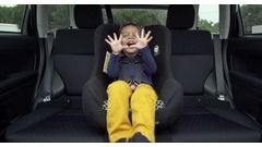 Car Seats for Everyone