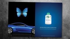 PPG Envirobase High Performance Ad Campaign