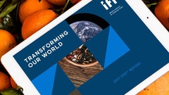 IFF ESG+ Report