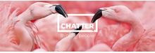 Chatter Communications