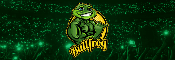 Bullfrog Digital Marketing Agency & SEO Company