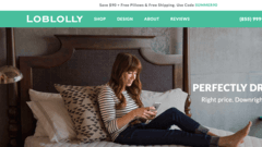 Loblolly Mattress Brand & Website