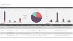 Content Audit