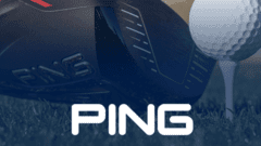 PING Team Augmentation