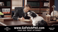 Go Fetch Phil, Dog Treat Attorney