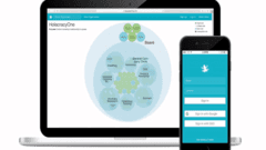 SaaS empowering Holacracy in organizations