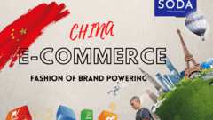  CHINESE E-COMMERCE SERVICES