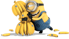 Chiquita "Minions Love Bananas"