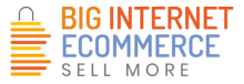 Big Internet Seller Services Inc